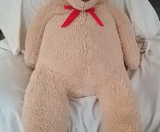 Very large Teddy Bear