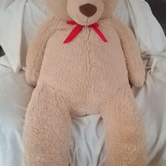 Very large Teddy Bear