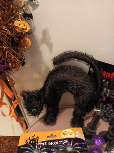 halloween bundle