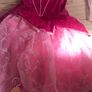 Sleeping Beauty Costumes Image 4