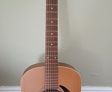 Seagull S12+ Acoustic Guitar