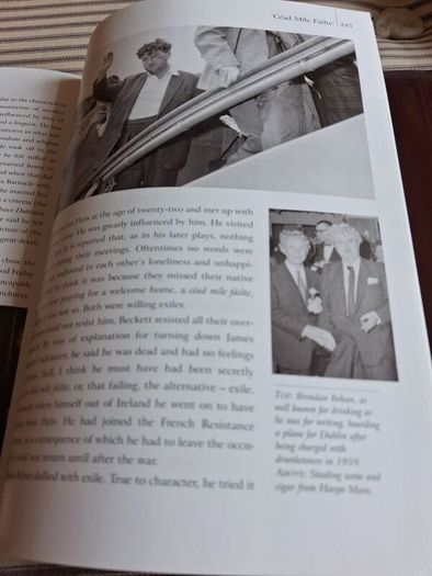 Book. Yesterday's Ireland.
