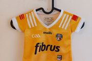 antrim gaa jersey