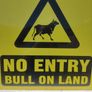 Bull Sign Image 2