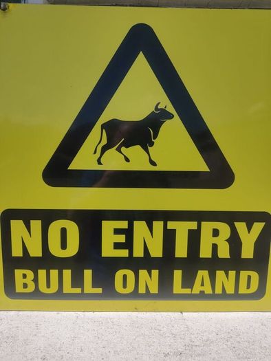Bull Sign