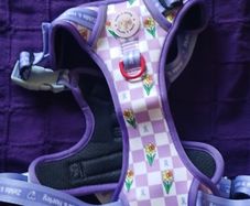 Beautiful ZELDA & HARLEY NEW Dog Harness