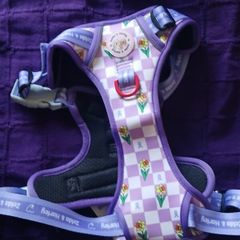 Beautiful ZELDA & HARLEY NEW Dog Harness