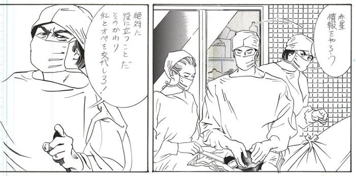 2 original Art Manga Pages.  by Noriko Nagai