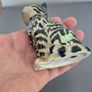 Beswick Model 1886 Persian Kitten - Seated Cat , Looking Up. Image 8