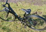 Liv Flourish Bike