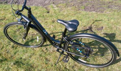 Liv Flourish Bike