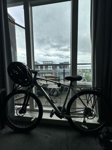 Trek bike