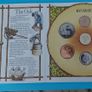 ENGLAND Royal Mint Coin Set 1987 In Uncirculated Condition Image 3