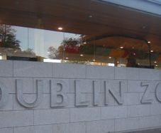 DublinZoo/Codes