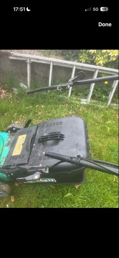 lawn