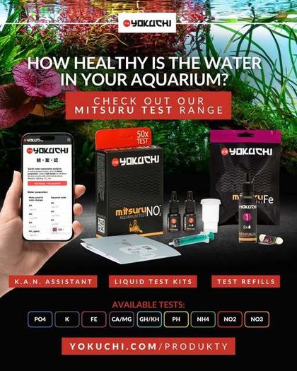 Yokuchi Mitsuru Aquarium Test NO3