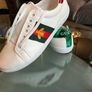Brand New White Runners Gucci Image 3