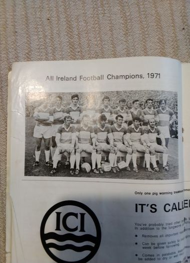 Two   Gaa Programmes