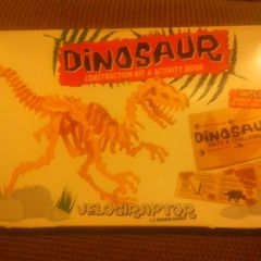 Dinosaur model making set.