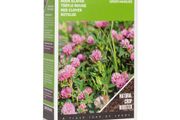 Buzzy Green Manure Red Clover 150g 60 sq.m | Sow in July