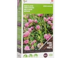 Buzzy Green Manure Red Clover 150g 60 sq.m | Sow in July