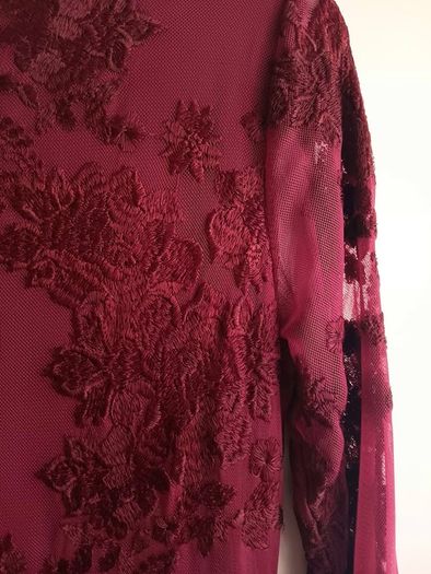 Wallis Embroidered Lace Dress