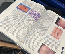 Medical Text Books