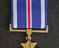 US medal , Distinguished Flying Cross.