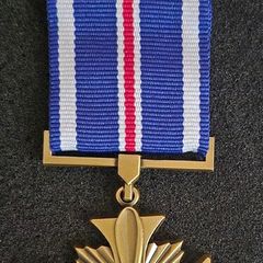 US medal , Distinguished Flying Cross.