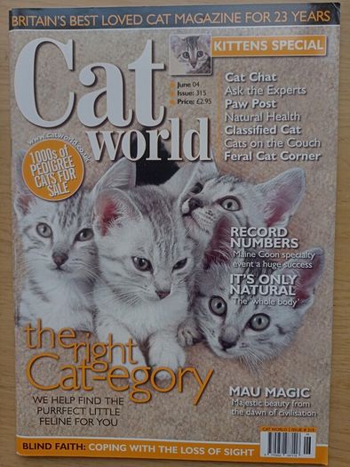 Cat World