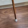 Walking stick Image 5