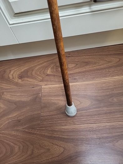 Walking stick