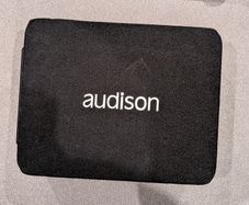 Audison APBX 8 AS2 active subwoofer