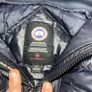 canada goose Image 6