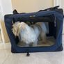 Foldable Pet Crate Image 3