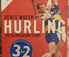 Hurling: The Revolution Years by Denis Walsh