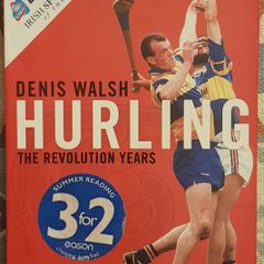 Hurling: The Revolution Years by Denis Walsh