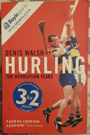 Hurling: The Revolution Years by Denis Walsh