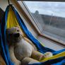small kids / teddy hammock Image 5