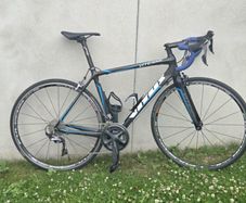 Vitus carbon