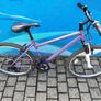 Apollo Mountain Bike Image 2