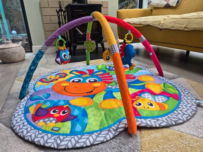 play Gro baby gym