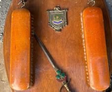 Drogheda memrobiala