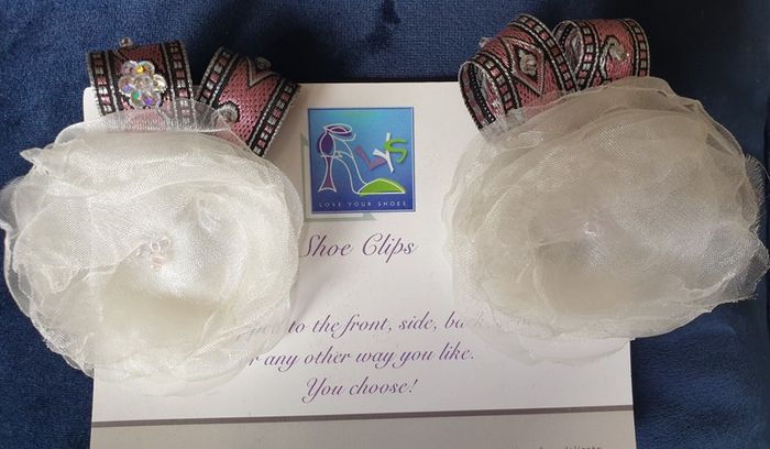 Shoe Clips