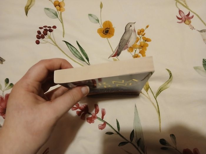 A Message of Hope From the Angels Lorna Byrne Spirituality Mindfulness