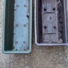 plant pots