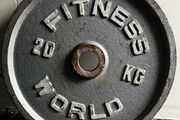 130kg Vintage Deep Dish World Fitness olympic weight plates