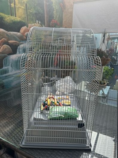 large bird cage, new with accessories