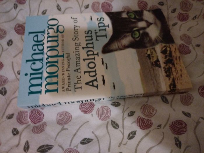 Michael Morpurgo the amazing story of Adolphus Tips