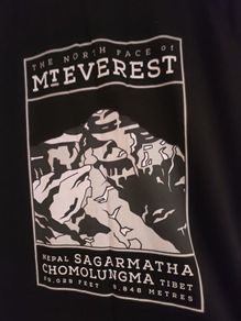 The North Face Mt Everest T shirt L New